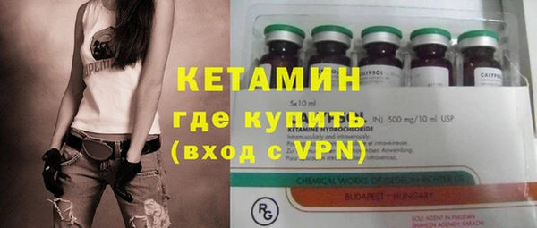 хмурый Аркадак