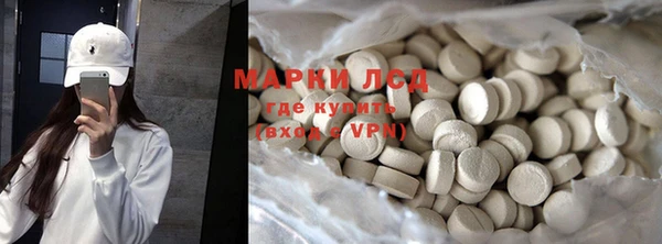хмурый Аркадак