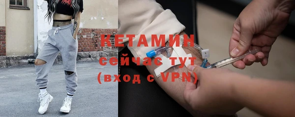 хмурый Аркадак