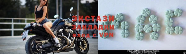 хмурый Аркадак