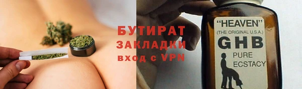 хмурый Аркадак