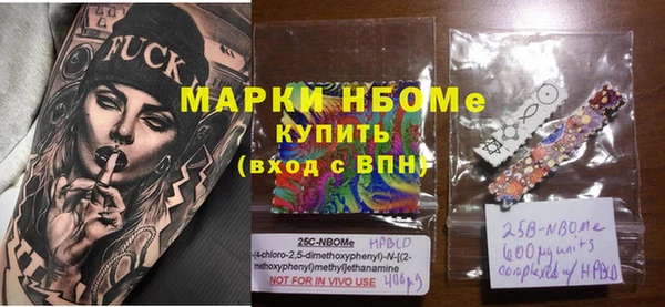 хмурый Аркадак