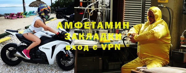 хмурый Аркадак