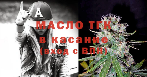хмурый Аркадак