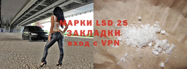 хмурый Аркадак