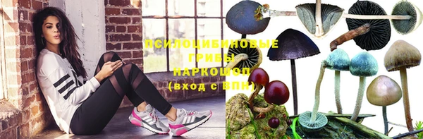 альфа пвп Армянск