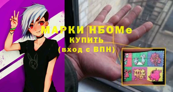 хмурый Аркадак