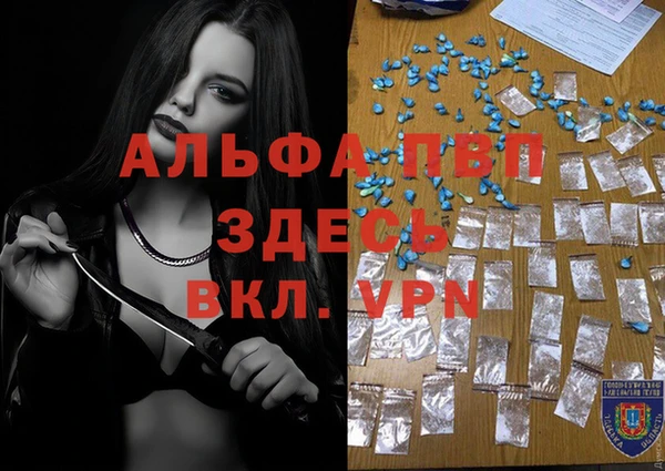 хмурый Аркадак