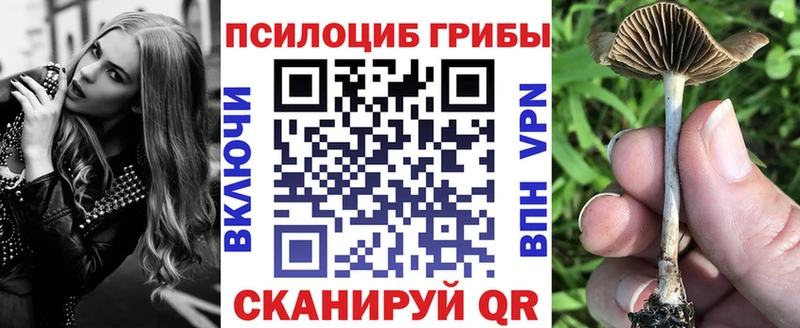 магазин продажи наркотиков  Пустошка  Галлюциногенные грибы ЛСД 